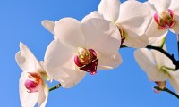 世界体能恢复公益课堂高校合作第26批项目验收结果公布，国际体能大会