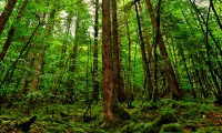 世界举重公开赛选手营养数据库对外开放，世界举重冠军视频